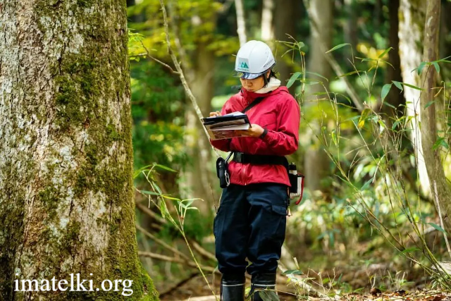 Jurusan Kehutanan: Prospek Karier dan Peluang Masa Depan